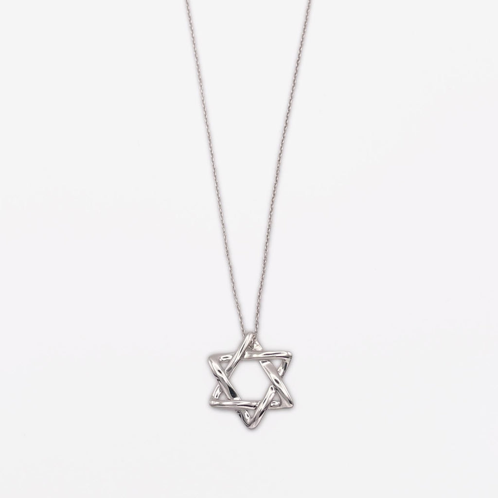 新品仕上済 Tiffany&Co. ティファニー スターオブダビデ ネックレス 925