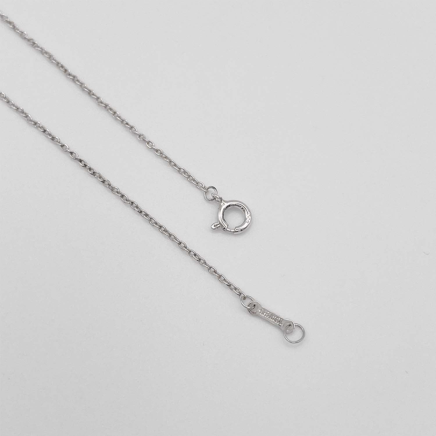 Tiffany&Co. ティファニー グラフィティ キス ネックレス SV925 新品仕上済