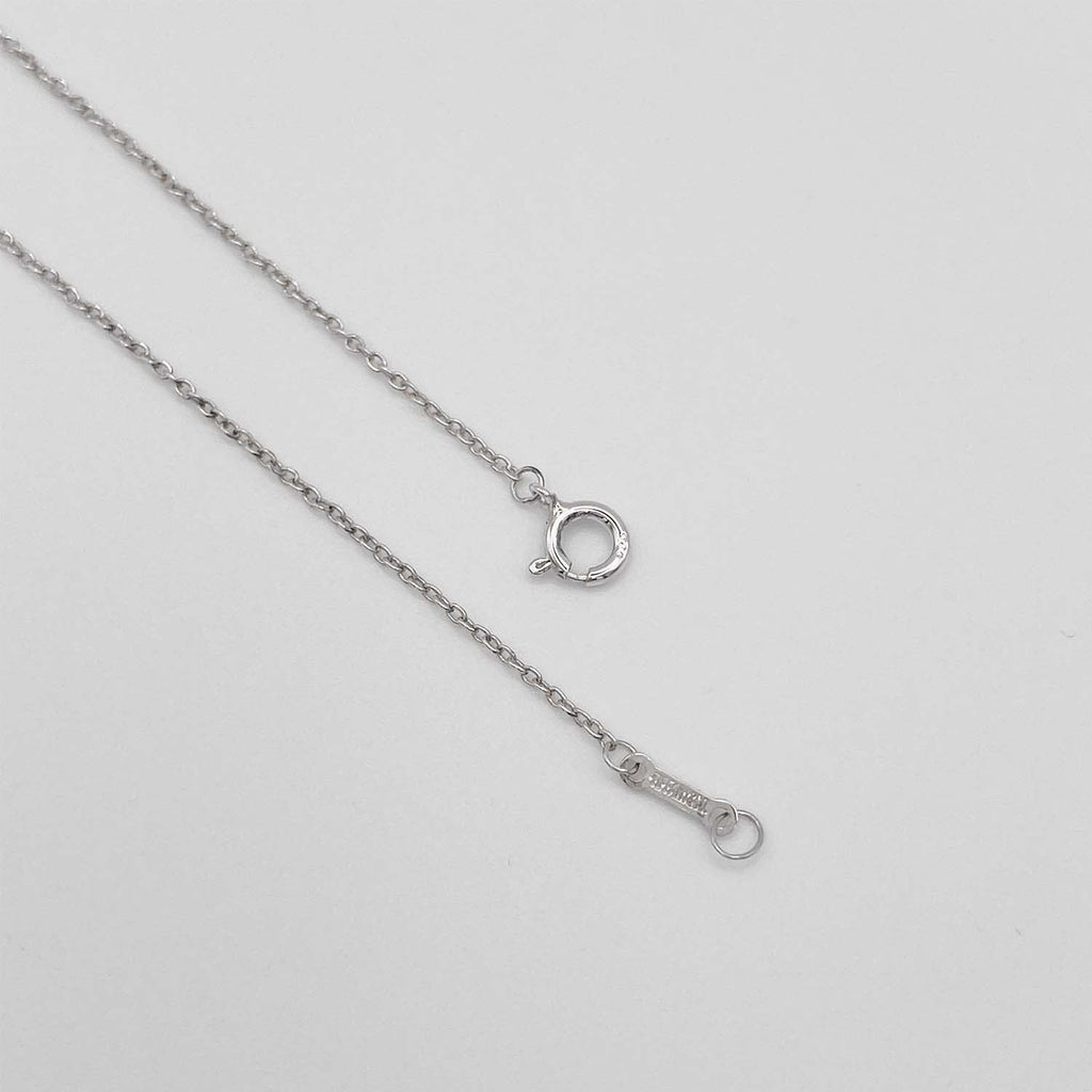 Tiffany&Co. ティファニー グラフィティ キス ネックレス SV925 新品仕上済