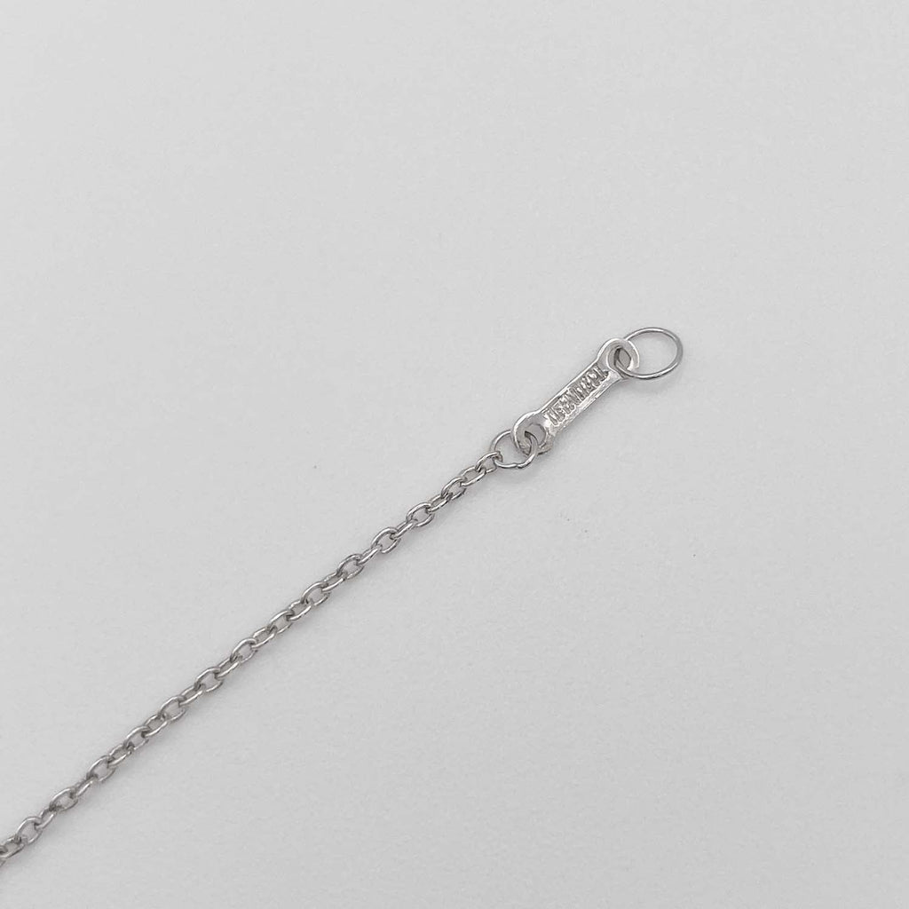 Tiffany&Co. ティファニー グラフィティ キス ネックレス SV925 新品仕上済