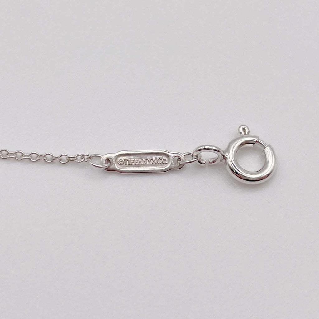 Tiffany&Co. リターントゥ ティファニー ダブル ラウンドタグ ネックレス SV925 METAL 新品仕上済