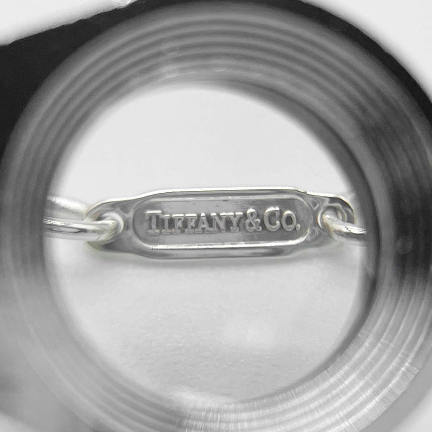 Tiffany&Co. ティファニー アトラスID ネックレス SV925 プレート 新品仕上済
