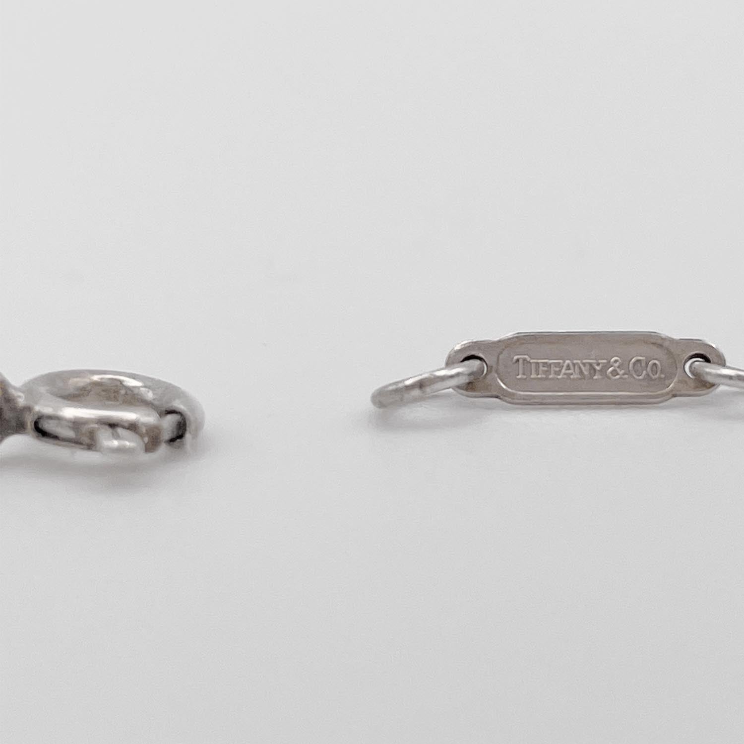 Tiffany&Co. ティファニー ネックレス SV925 お魚 浮き輪 ペンダント