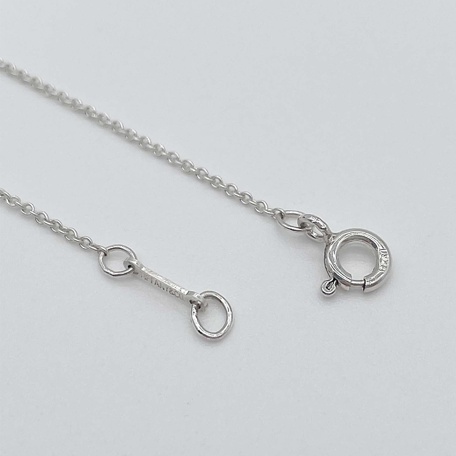 Tiffany&Co. ティファニー  星座 ゾディアック ネックレス 山羊座  Capricorn ペンダント SV925 新品仕上済 KA-014